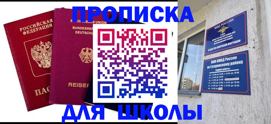 пропишу в квартире в Светлогорске